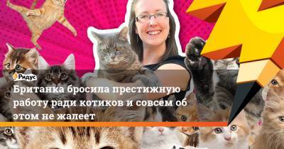 Британка бросила престижную работу ради котиков и совсем об этом не жалеет - ridus.ru - Англия - Плимут