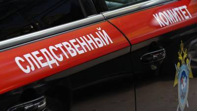 В Костромской области полицейский оштрафовал родственников для выполнения плана - iz.ru - Костромская обл.
