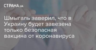 Денис Шмыгаль - Виктор Ляшко - Шмыгаль заверил, что в Украину будет завезена только безопасная вакцина от коронавируса - strana.ua