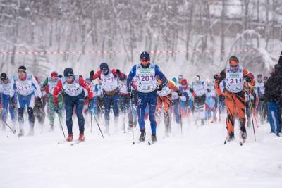 Токсово готов принять лыжный марафон Toksovocup - ivbg.ru