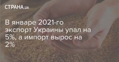 В январе 2021-го экспорт Украины упал на 5%, а импорт вырос на 2% - strana.ua - Торговля