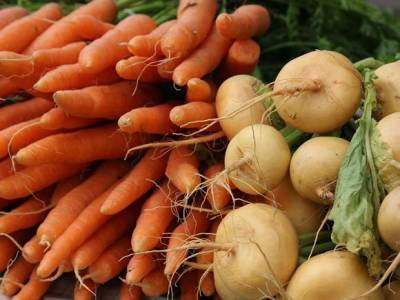 Евгений Арзамасцев - Диетолог перечислил самые полезные «зимние» овощи - rosbalt.ru - Москва