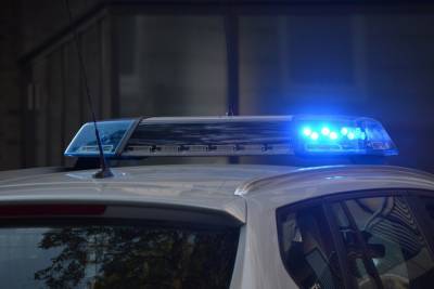 В России за пять лет на треть уменьшилось число убийств - abnews.ru