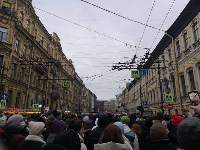 Алексей Навальный - Швеция объяснила появление своего дипломата на митинге в поддержку Навального в Петербурге - znak.com - Москва - Санкт-Петербург - Швеция - Вена
