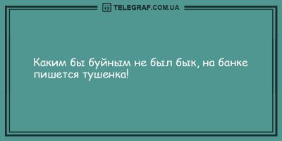 Анекдоты на вечер 3 февраля, которые не дадут вам заскучать - ТЕЛЕГРАФ - telegraf.com.ua