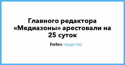 Сергей Смирнов - Александр Меркулов - Главного редактора «Медиазоны» арестовали на 25 суток - forbes.ru - Россия