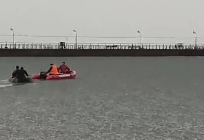 На Донбассе пять собак застряли в море на льдине - news.bigmir.net - Канада - Мариуполь - Донбасс - Донецкая обл.