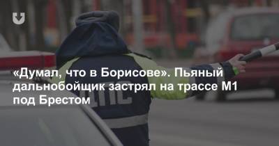«Думал, что в Борисове». Пьяный дальнобойщик застрял на трассе М1 под Брестом - news.tut.by - Брест