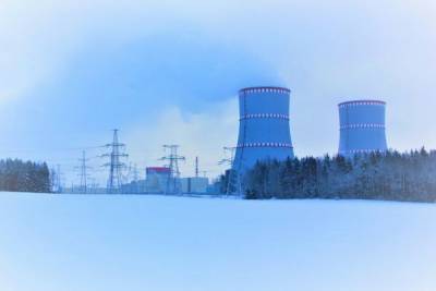 Ревизоры ЕС хотят видеосвязь с Европой во время инспекции БелАЭС - eadaily.com - Белоруссия - Литва