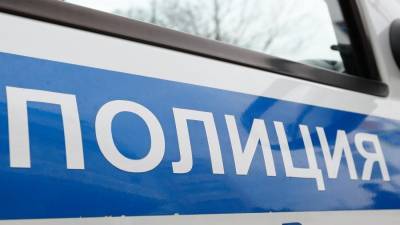 Пропавших в Иванове школьниц нашли живыми - iz.ru - Москва - Иваново - Ивановская обл.