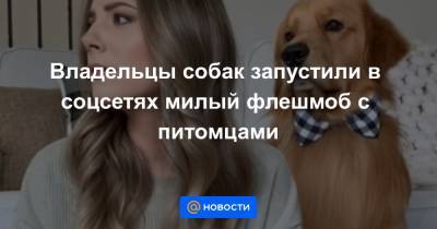 Владельцы собак запустили в соцсетях милый флешмоб с питомцами - news.mail.ru