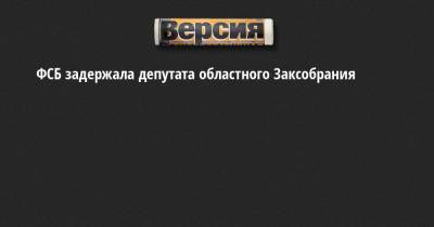 ФСБ задержала депутата областного Заксобрания - neva.versia.ru - Ленинградская обл. - Санкт-Петербург