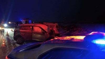 В лобовом ДТП на дороге М10-Никольское 41К-173 погиб пассажир - piter.tv