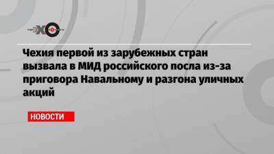 Алексей Навальный - Штеффен Зайберт - Чехия первой из зарубежных стран вызвала в МИД российского посла из-за приговора Навальному и разгона уличных акций - echo.msk.ru - Москва - Чехия