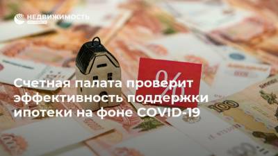 Дмитрий Песков - Антон Силуанов - Счетная палата проверит эффективность поддержки ипотеки на фоне COVID-19 - realty.ria.ru - Москва - Россия