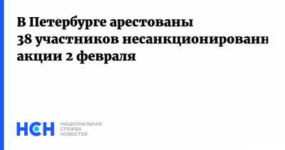 Алексей Навальный - В Петербурге арестованы 38 участников несанкционированной акции 2 февраля - nsn.fm - Москва - Санкт-Петербург