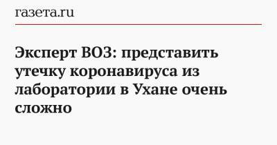 Эксперт ВОЗ: представить утечку коронавируса из лаборатории в Ухане очень сложно - gazeta.ru - Ухань