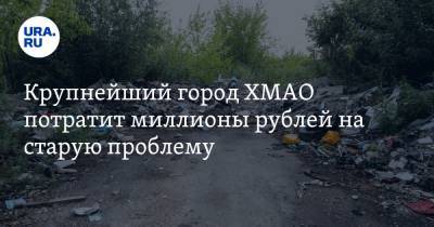 Крупнейший город ХМАО потратит миллионы рублей на старую проблему - ura.news - Югра - Нижневартовск