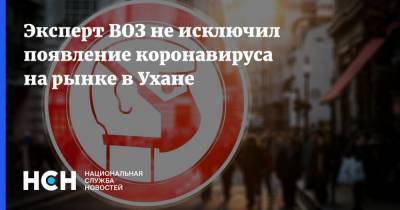 Владимир Дедков - Эксперт ВОЗ не исключил появление коронавируса на рынке в Ухане - nsn.fm - Китай - Ухань