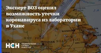 Владимир Дедков - Эксперт ВОЗ оценил возможность утечки коронавируса из лаборатории в Ухане - nsn.fm - Китай - Ухань