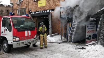 Личности погибших в Красноярске пожарных установят с помощью геномной экспертизы - iz.ru - Красноярск