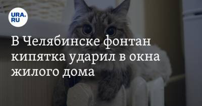 Богдан Хмельницкий - В Челябинске фонтан кипятка ударил в окна жилого дома. Фото, видео - ura.news - Челябинск