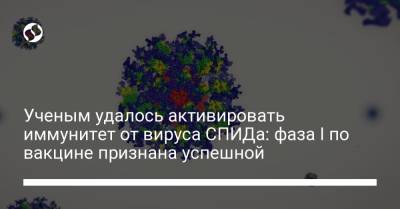 Ученым удалось активировать иммунитет от вируса СПИДа: фаза I по вакцине признана успешной - liga.net