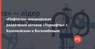 «Нафтогаз» инициировал разделение активов «Укрнафты» с Коломойским и Боголюбовым - thepage.ua