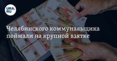 Челябинского коммунальщика поймали на крупной взятке - ura.news - Челябинск