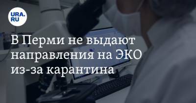 В Перми не выдают направления на ЭКО из-за карантина - ura.news - Екатеринбург - Пермь - Пермский край