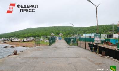 Мэрия Владивостока рассказала, как намерена спасать «голодный» остров - fedpress.ru - Москва - Владивосток