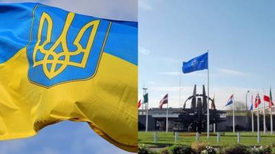 Владимир Зеленский - Энтони Блинкеный - Глава МИД Украины объяснил, почему страна до сих пор не является членом НАТО - inforeactor.ru - США - Киев - Вашингтон