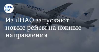 Из ЯНАО запускают новые рейсы на южные направления - ura.news - Краснодар - Воронеж - респ. Чувашия - Минеральные Воды - Чебоксары - окр. Янао