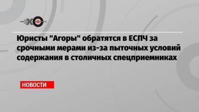 Павел Чиков - Юристы «Агоры» обратятся в ЕСПЧ за срочными мерами из-за пыточных условий содержания в столичных спецприемниках - echo.msk.ru - Москва