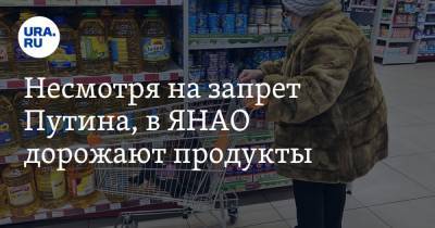 Владимир Путин - Несмотря на запрет Путина, в ЯНАО дорожают продукты - ura.news - Ноябрьск - окр. Янао