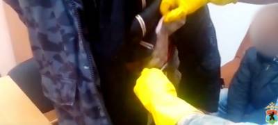 Оперативники нашли в штанах у жителя Карелии 160 граммов наркотика (ВИДЕО) - stolicaonego.ru - Петрозаводск - республика Карелия