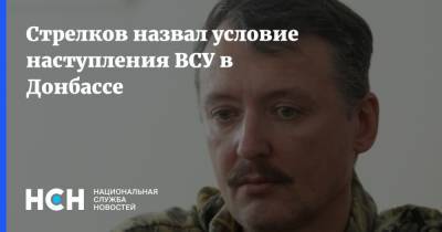 Игорь Стрелков - Стрелков назвал условие наступления ВСУ в Донбассе - nsn.fm - США - Киев - ДНР