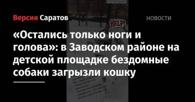 «Остались только ноги и голова»: в Заводском районе на детской площадке бездомные собаки загрызли кошку - nversia.ru - Саратов