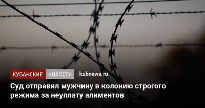 Суд отправил мужчину в колонию строгого режима за неуплату алиментов - kubnews.ru - респ. Адыгея - Майкоп