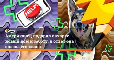 Американец подарил овчарке новый дом и заботу, в ответ она спасла его жизнь - ridus.ru - США - шт.Нью-Джерси