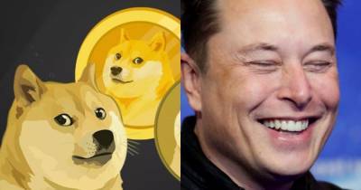 Маск снова в деле. Миллиардер разогнал курс “шуточной” криптовалюты Dogecoin - cryptos.tv - Украина