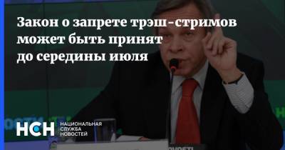 Алексей Пушков - Закон о запрете трэш-стримов может быть принят до середины июля - nsn.fm