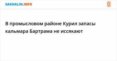 В промысловом районе Курил запасы кальмара Бартрама не иссякают - sakhalin.info - Сахалинская обл.