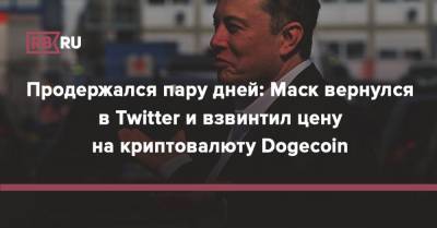 Илон Маск - Продержался пару дней: Маск вернулся в Twitter и взвинтил цену на криптовалюту Dogecoin - rb.ru - Twitter