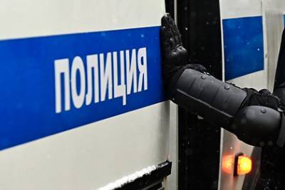 Владимир Путин - Дмитрий Песков - Сергей Смирнов - Песков объяснил переполненность спецприемников - lenta.ru - Москва