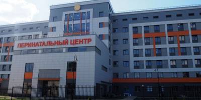 Врачи приняли экстренные роды прямо в машине скорой у входа в Гатчинский перинатальный центр - ivbg.ru