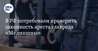 Сергей Смирнов - В РФ потребовали проверить законность ареста главреда «Медиазоны» - ura.news - Москва