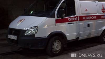Женщина родила в скорой из-за не пустившего ее в роддом охранника - newdaynews.ru - Ленинградская обл. - Санкт-Петербург