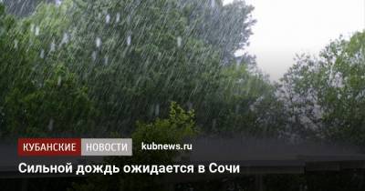 Сильной дождь ожидается в Сочи - kubnews.ru - Сочи - Краснодарский край