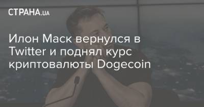 Илон Маск - Илон Маск вернулся в Twitter и поднял курс криптовалюты Dogecoin - strana.ua - Twitter